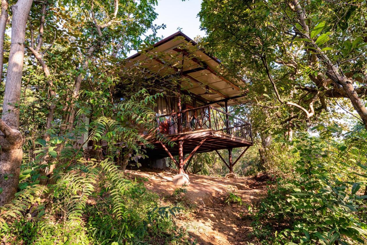 Kanha Jungle Camp Exterior foto