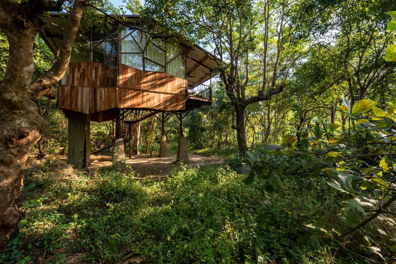 Kanha Jungle Camp Exterior foto