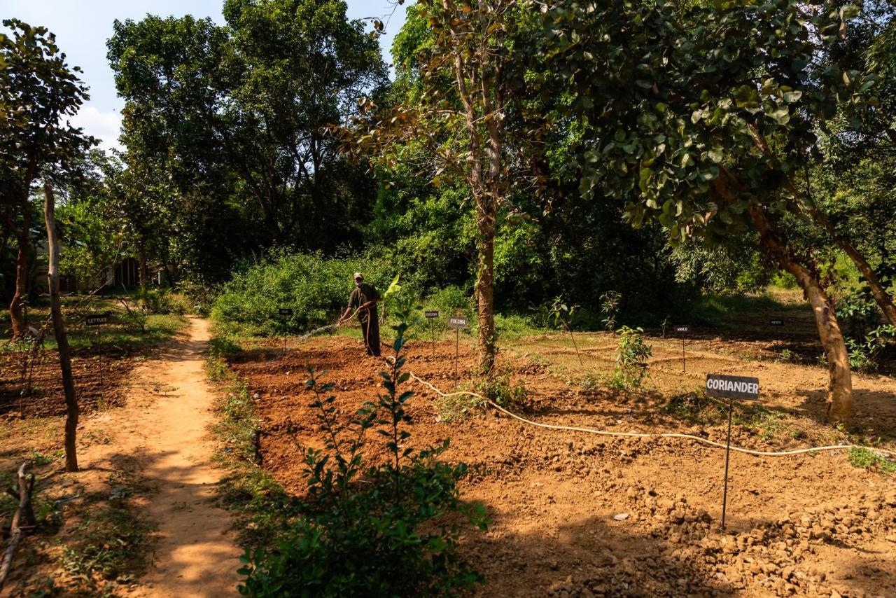 Kanha Jungle Camp Exterior foto